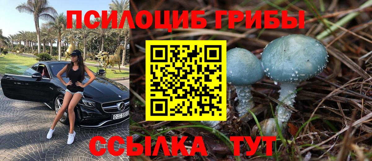 Южноуральск  Псилоцибиновые грибы прущие грибы  Вход с VPN 